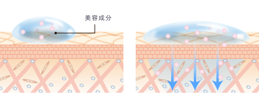 美容成分